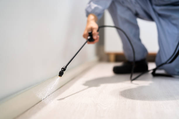 Bed Bug Pre-Treatment Preparation Assessment in Byron
