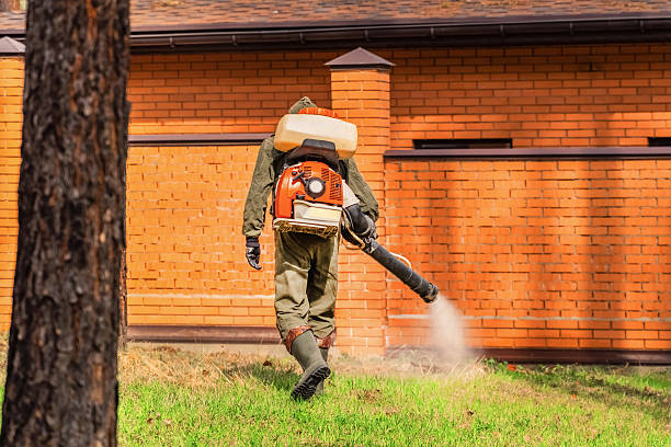 Bed Bug Clearance Verification and Documentation in Byron